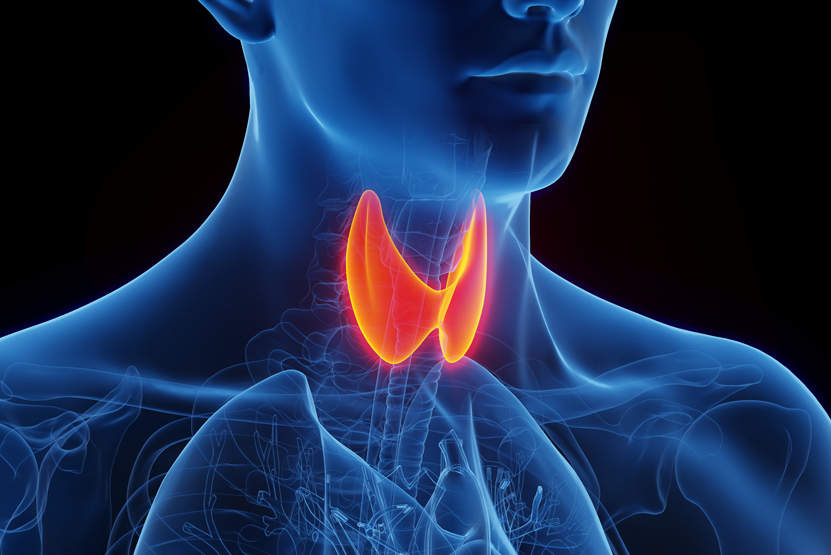 Endocrine & metabolic conditions treatment