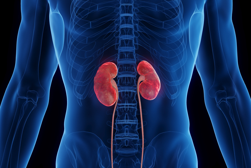 Renal (kidney) conditions treatment